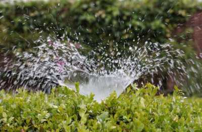 Sprinkler Repair Apopka